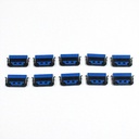 Mimaki Wiper Kit 300TS